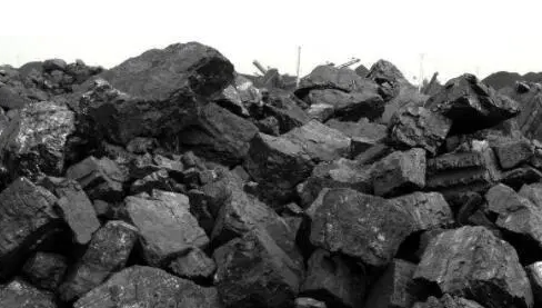 煤炭生成机制揭开