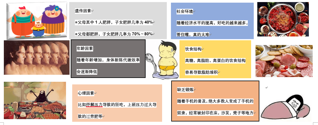 体质性肥胖有家族遗传史，患者自幼进食丰富入量