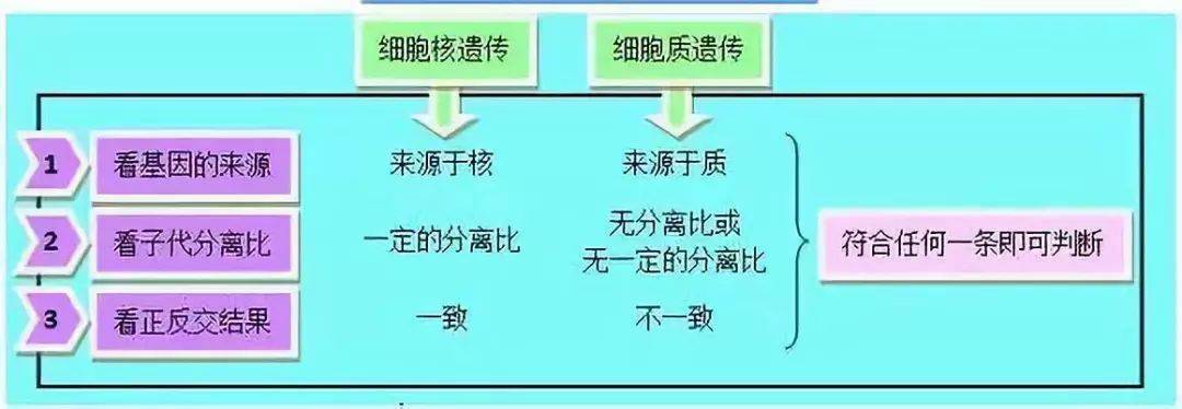 细胞核是什么意思？的主要成分有哪些？？