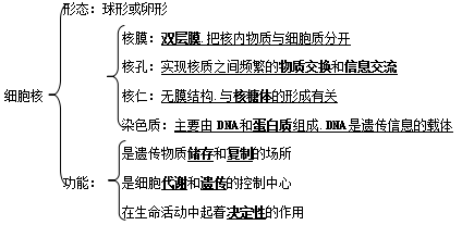 代谢控制发酵_细胞代谢控制中心_云南省新生儿遗传代谢疾病筛查中心