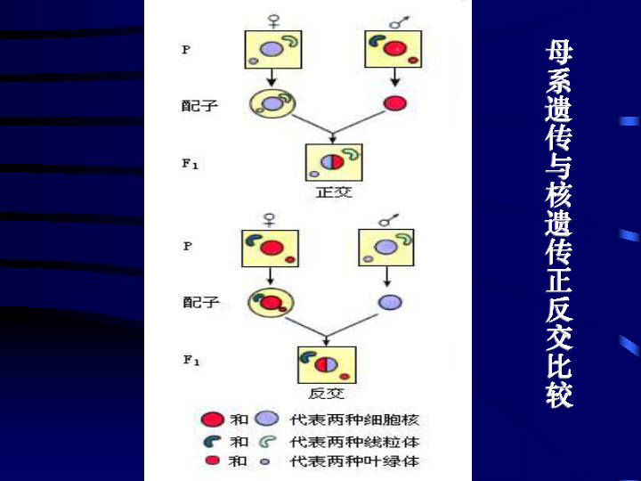 云南省新生儿遗传代谢疾病筛查中心_代谢控制发酵_细胞代谢控制中心