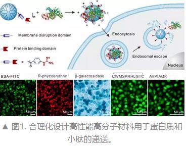 盐类的水解吸热公式_水解度公式_蛋白水解度