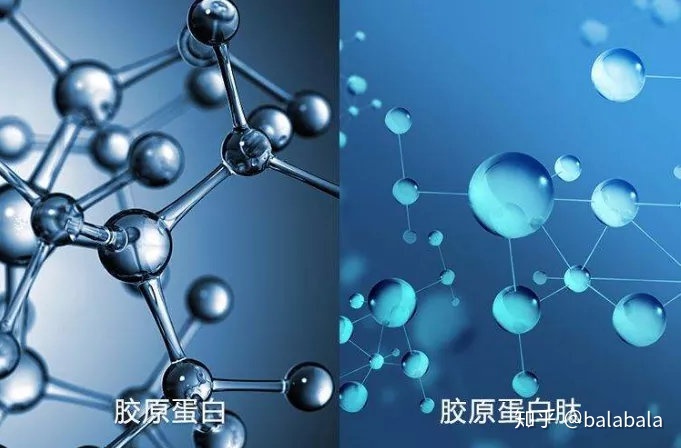 水解度公式_盐类的水解吸热公式_蛋白水解度