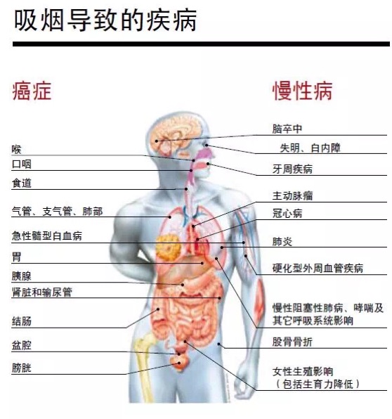 戒烟门诊 英文_戒烟 英文_戒烟用 cut的词语英文