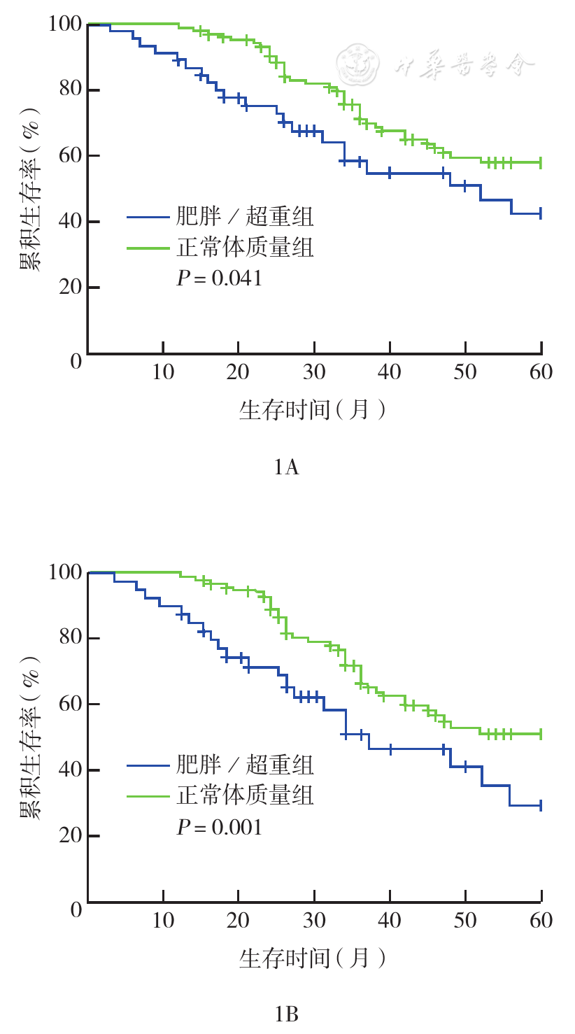 心外膜脂肪组织_乙型肝炎病毒外膜蛋白前s1抗原阴性_阿尔卡特c123手机外膜