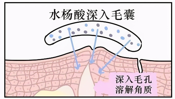 睫毛代谢周期是28天么?_苯巴比妥钠的代谢周期_人体细胞代谢周期