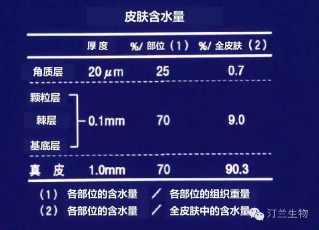 人体细胞代谢周期_睫毛代谢周期是多久_苯巴比妥钠的代谢周期