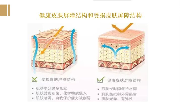 睫毛代谢周期是多久_人体细胞代谢周期_苯巴比妥钠的代谢周期