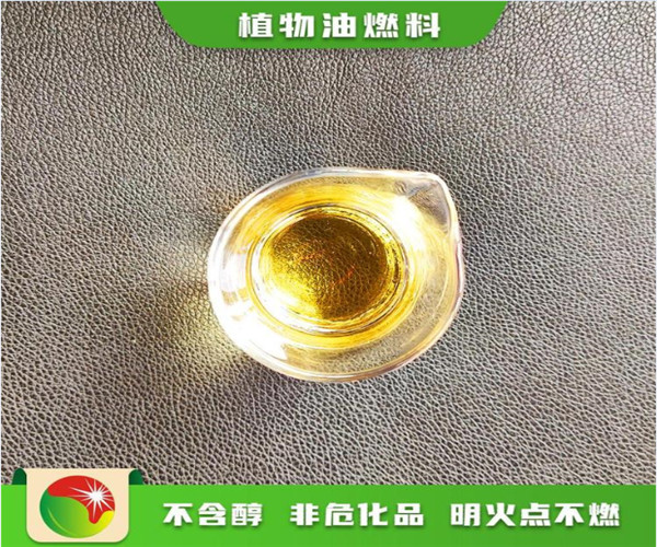 龙宇燃油 史玉柱_龙宇燃油 招股说明书_603003龙宇燃油