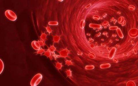 正常血浆图片_普通血浆 新鲜血浆_正常血浆渗透压