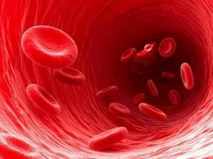 正常血浆渗透压_普通血浆 新鲜血浆_正常血浆图片