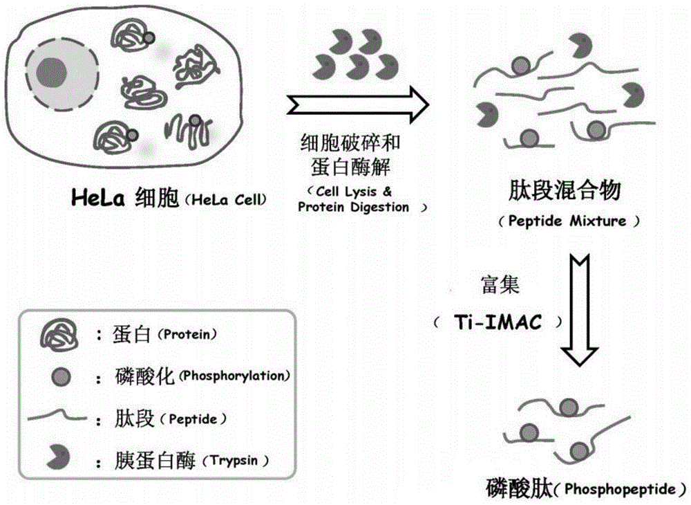 摘要视网膜色素上皮的全面分析揭示了对炎症刺激的多种途径改变