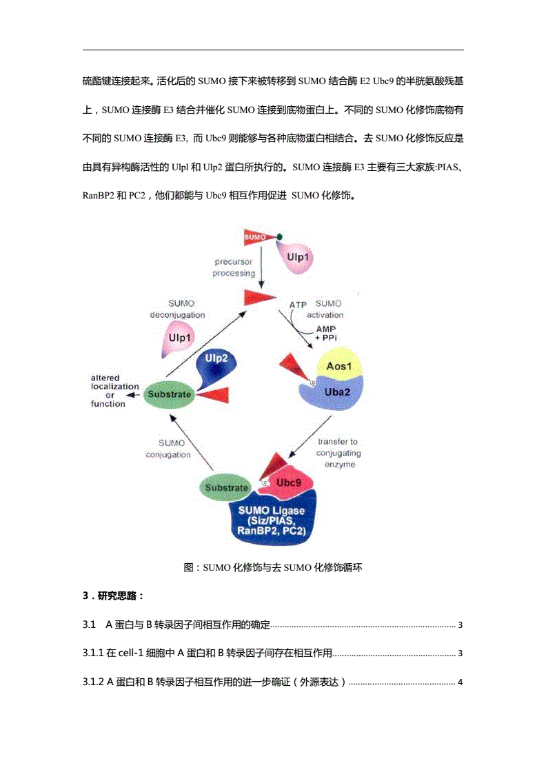 蛋白绝对定量技术及翻译后修饰分析介绍(一)
