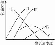 激素如何调节细胞代谢_细胞核是代谢中心吗_体液调节 激素调节