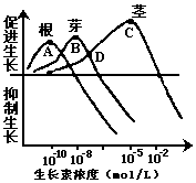 细胞核是代谢中心吗_体液调节 激素调节_激素如何调节细胞代谢