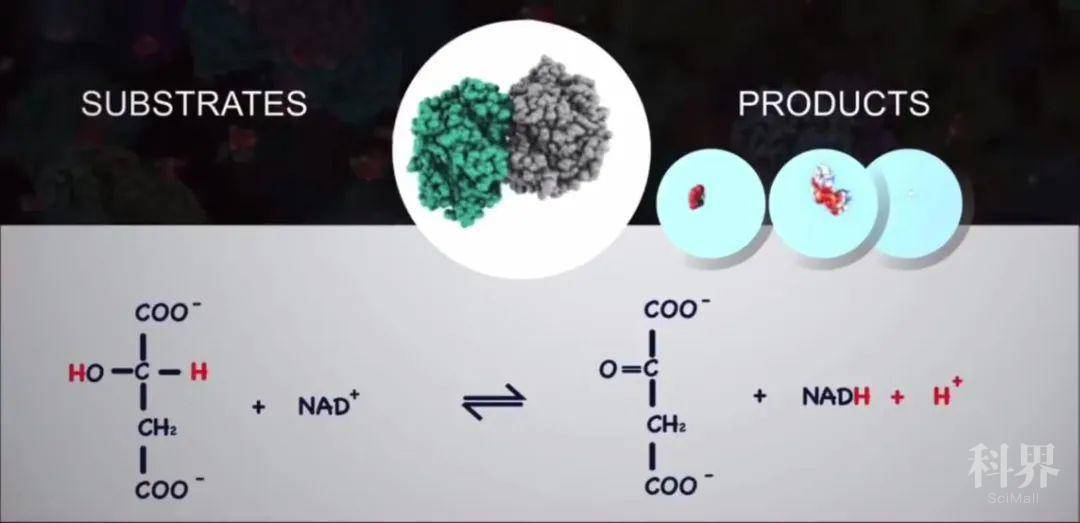 光催化 二氧化钛_氧化钛在陶瓷釉作用_氧化钛密度