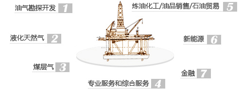 中海油炼化山东_中海油惠州炼化二期_中海油炼化