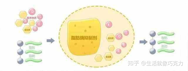 乙型肝炎表面抗体阴性好还是阳性好_阳年阴月阴日阴时出生_阳离子表面活性剂和阴离子表面活性剂