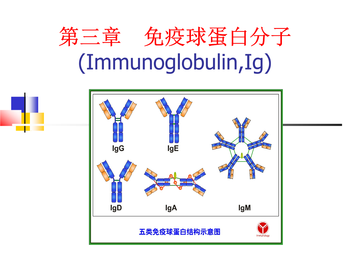 小牛血去蛋白和小牛血清去蛋白_人血清白蛋白纳米粒_血清白蛋白浓度