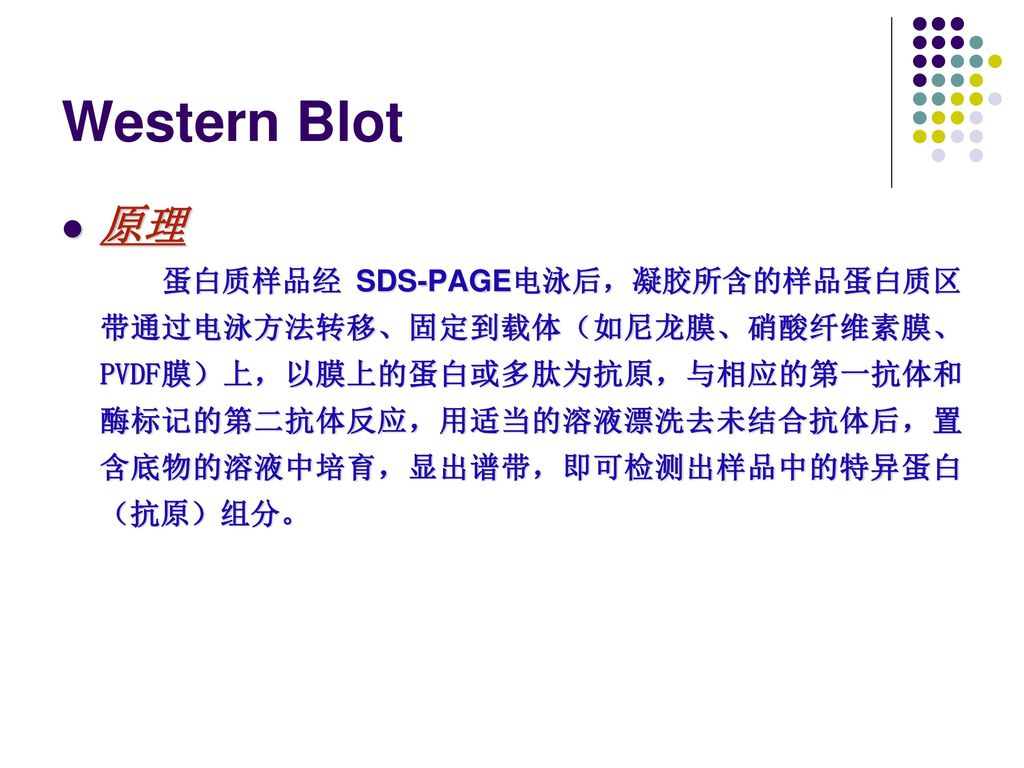 本类金标试剂技术指导原则适用于第三类体外诊断试剂中金标试剂