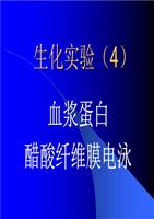 牛血清清蛋白电泳图_牛血清白蛋白溶解性_结晶牛血清清蛋白