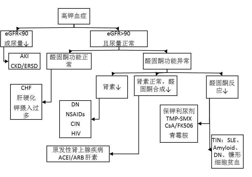 

【每日一题】K+3+1H+与电解质有关的规律