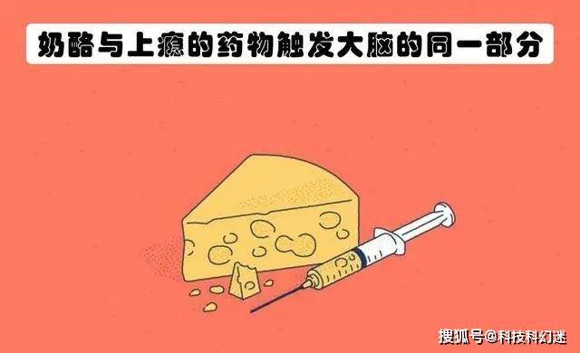 促进多巴胺分泌_大脑分泌多巴胺_怎么分泌多巴胺