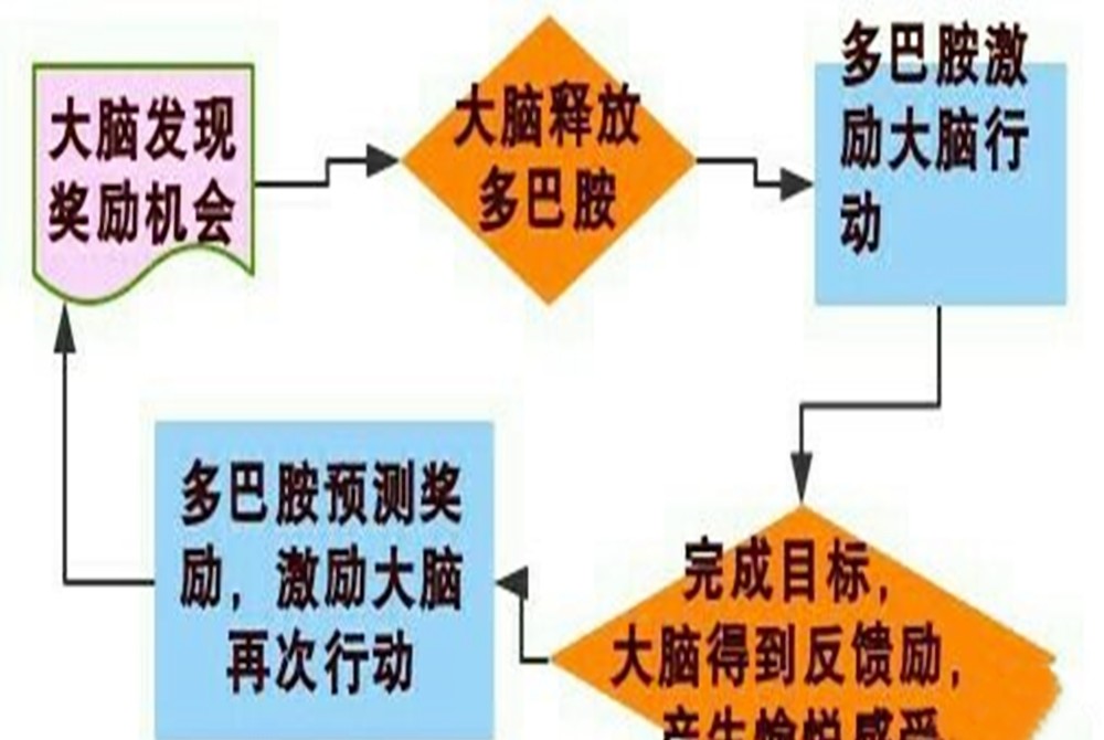 如何使我们大脑中更多的分泌这三种神经递质？