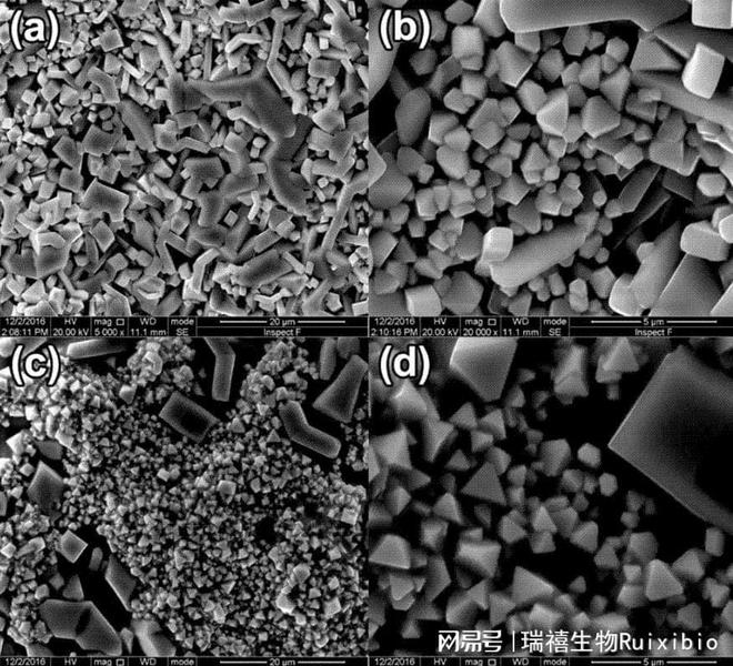 环氧化天然橡胶结构_氢氧化亚钴在空气中被氧化_氧化钴结构