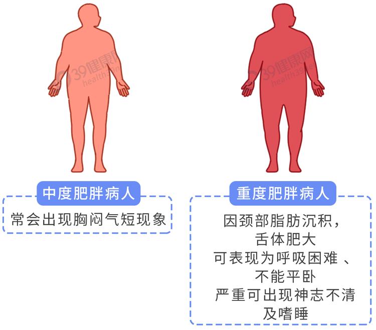 人体吸收脂肪_脂肪消化与吸收_脂肪填充的吸收