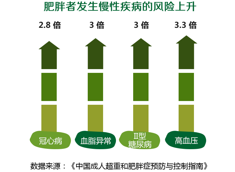 人体吸收脂肪_脂肪填充的吸收_脂肪消化与吸收