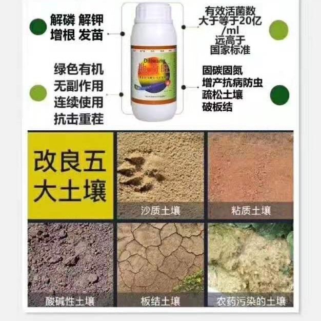 树叶是天然肥料_肥料包装袋是怎么设计的_什么是微生物肥料