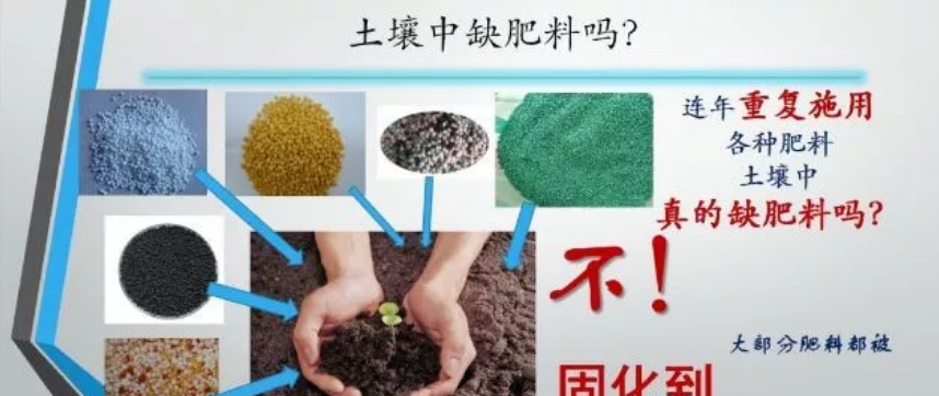 硫酸铵是生理中性肥料_生物腐植酸肥料生产与应用_什么是微生物肥料