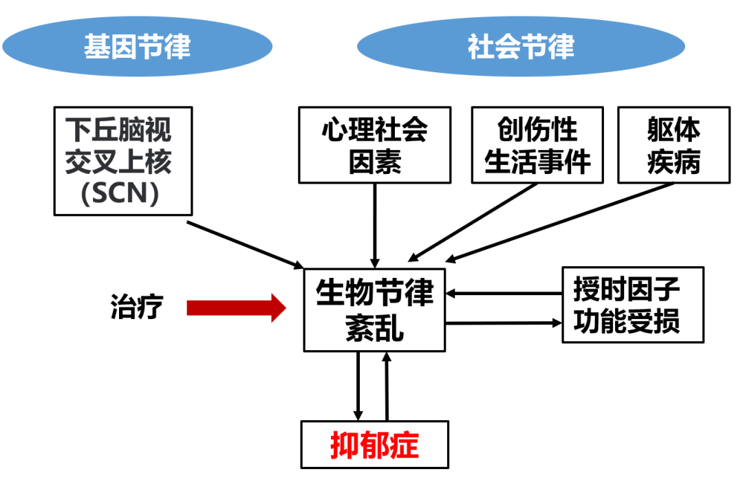 多巴胺 分泌_多巴胺分泌失调_怎样多巴胺的分泌