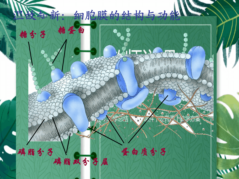 

三为主课堂九年级物理全册第十三章内能131分子热运动导学案