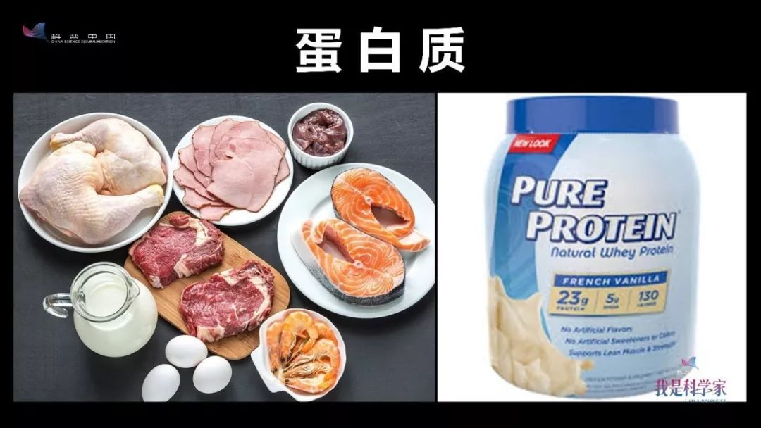 蛋白质多的食物排行榜_高尔基体蛋白和内网质_动物蛋白高的食物