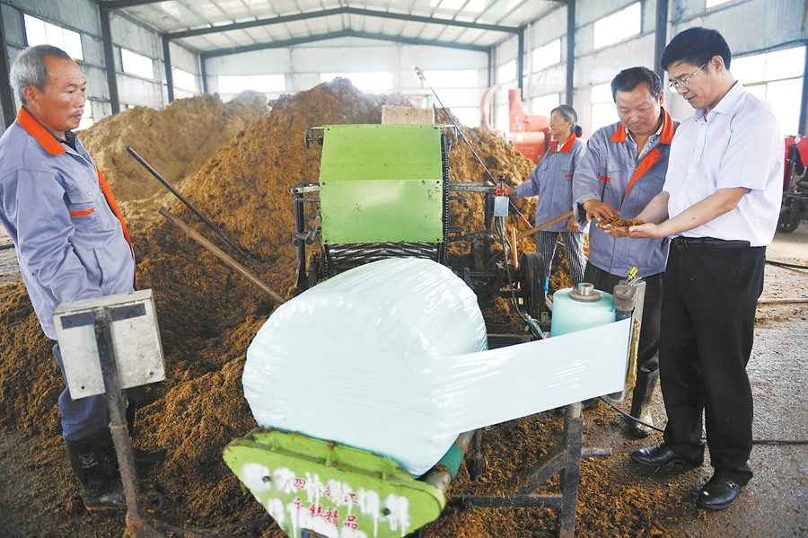 绿色生态模式秸秆综合利用国稻种芯现代饲料规划循环模式(中国日报江西记者站王健)