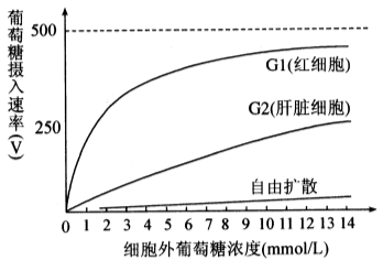 葡萄水果测糖仪_葡萄疏花疏果拉穗膨大快速增色增糖上色着色剂_葡萄糖的作用