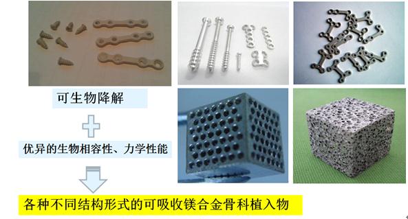 金属离子对人体适应性的反应进行细胞适应性评价方法