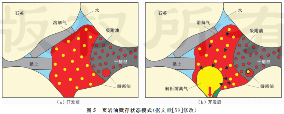 页岩油和致密油_页岩油抽提_页岩气和页岩油