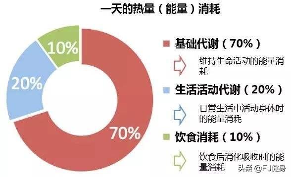 蛋白质互补原则_碱基互补配对原则公式_三种蛋白互补