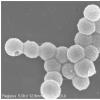 磷酸钙沉淀 
1.本发明纳米粒不可控的粒径增长问题及制备方法