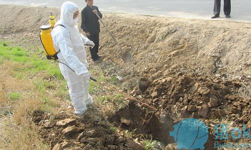 羊毛贩子如何收购羊毛_收购龙虾的大贩子电话_江西病死猪被猪贩子长期收购