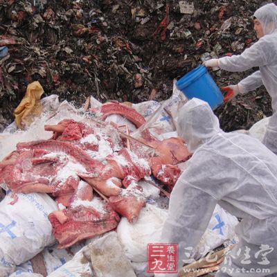江西病死猪被猪贩子长期收购_收购龙虾的大贩子电话_羊毛贩子如何收购羊毛