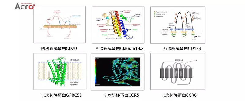 什么样的传感器可以检测HIV和化学修饰病毒疗法?(图)