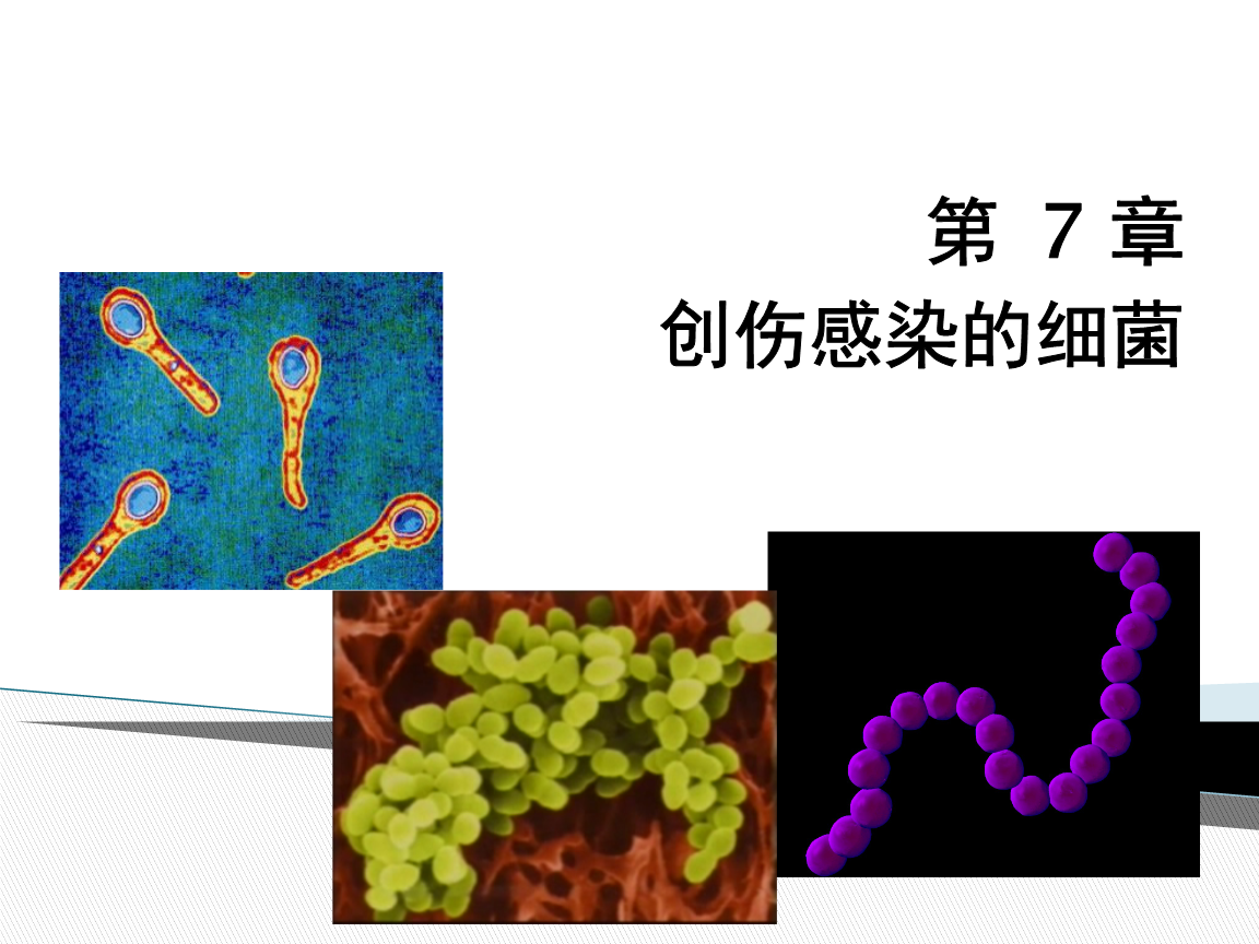 伤口化脓后怎么处理_伤口化脓处理_烧伤伤口化脓怎么处理