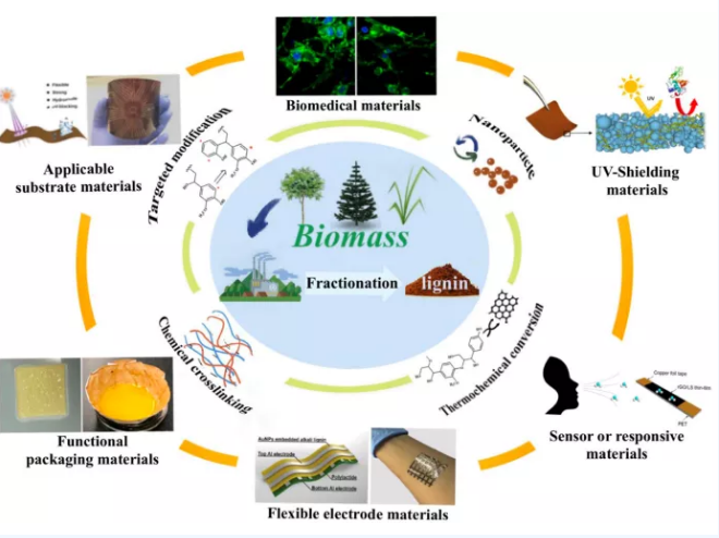 
2022-2028全球生物可降解合成聚合物行业研究报告(图)
