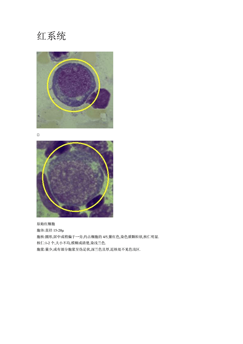 红细胞体积分布宽度偏低 加拿大RBC电子转账汇款的费用是什么？怎么办理？