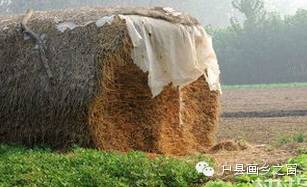 麦秸垛_麦秸垛主要内容_麦秸麦秸