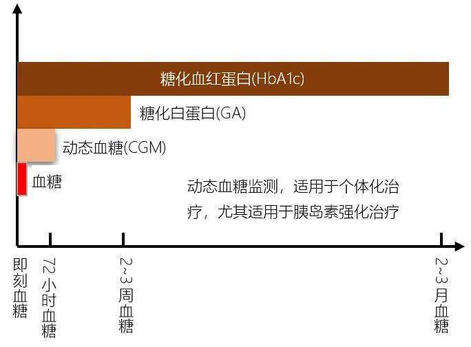 蛋白c蛋白s低怎么食补_蛋白糖化饲料_糖化血清白蛋白比值低